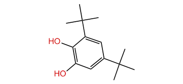 3,5-di-tert-Butylbenzene-1,2-diol